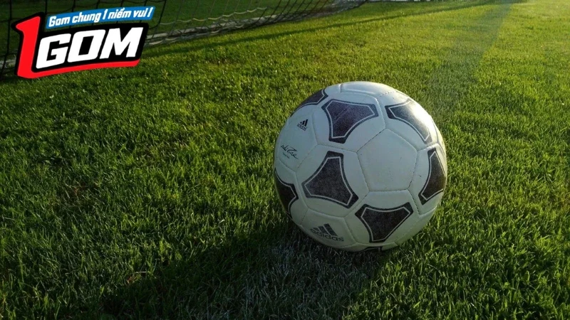 Áp dụng mẹo cập nhật kết quả chuẩn và nhanh chóng